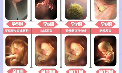 怀孕后鼻孔下方长痘痘怎么调理-孕妇变丑鼻子变大下巴长痘网孕妇变丑鼻子变大下巴长痘怎么回事知识网站,分享怀孕后鼻孔下方长痘痘怎么调理大全