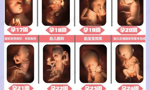 怀孕鼻子变大了生了以后会变小吗-孕妇变丑鼻子变大下巴长痘网孕妇变丑鼻子变大下巴长痘怎么回事知识网站,分享怀孕后鼻孔下方长痘痘怎么调理大全