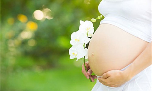 孕妇变丑鼻子变大下巴长痘怎么办-孕妇变丑鼻子变大下巴长痘网孕妇变丑鼻子变大下巴长痘怎么回事知识网站,分享怀孕后鼻孔下方长痘痘怎么调理大全