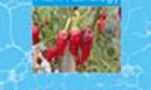 怀孕后下巴跟鼻翼发红脱皮怎么回事-孕妇变丑鼻子变大下巴长痘网孕妇变丑鼻子变大下巴长痘怎么回事知识网站,分享怀孕后鼻孔下方长痘痘怎么调理大全